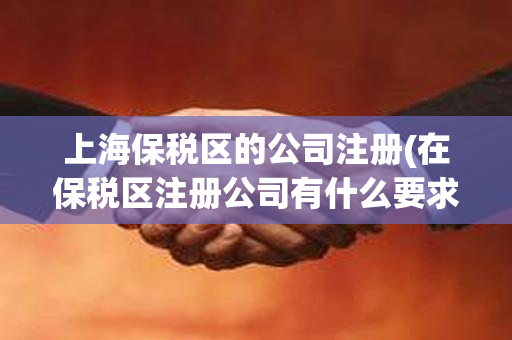 上海保税区的公司注册(在保税区注册公司有什么要求)